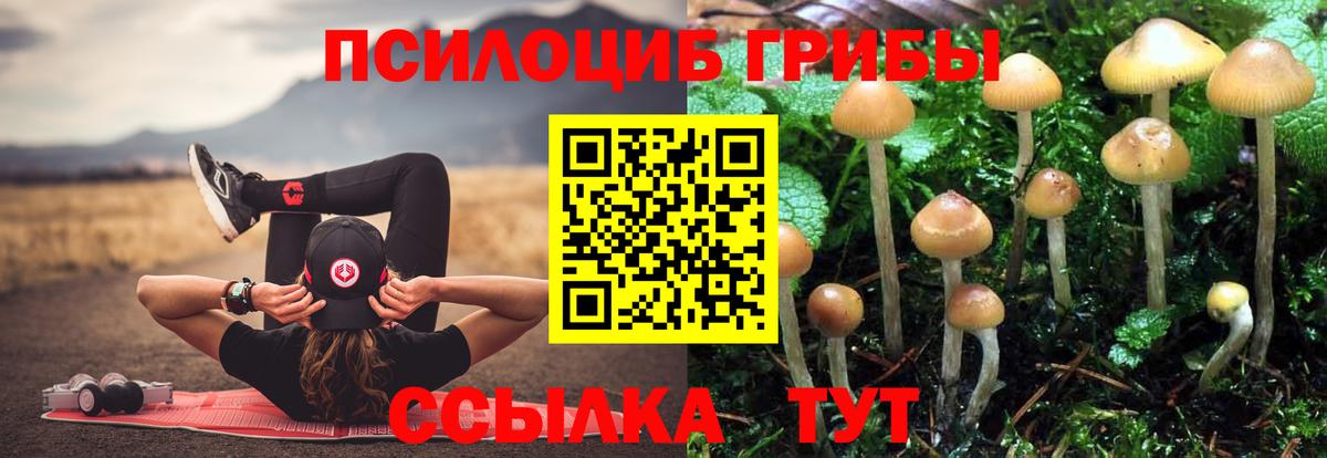 Галлюциногенные грибы Psilocybine cubensis  Галлюциногенные грибы Psilocybine cubensis  Одинцово  Вход с VPN 